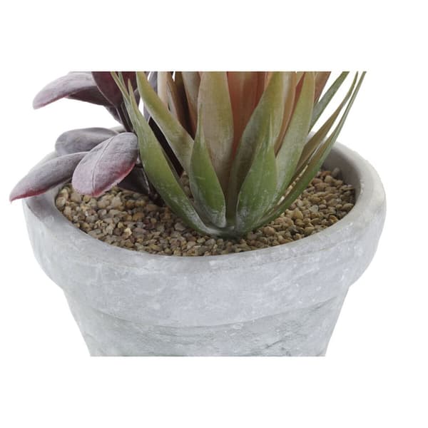 Dekorativ växt DKD Home Decor Röd Grå Orange EVA PE (16 x 12,5 x 19,5 cm) (2 antal)
