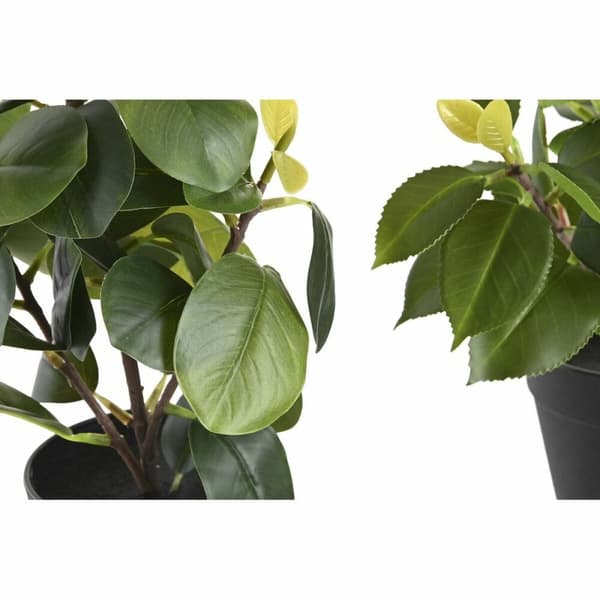 Dekorativ plante DKD Home Decor Grøn PP PE Figen (2 enheder) (21 x 18 x 30 cm)