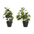 Miniatyrbillede 1 af 3: Dekorativ plante DKD Home Decor Grøn PP PE Figen (2 enheder) (21 x 18 x 30 cm)