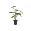 Miniatyrbilde 1 av 3: Dekorativ Plante DKD Home Decor Grønn PE (20 x 20 x 40 cm)
