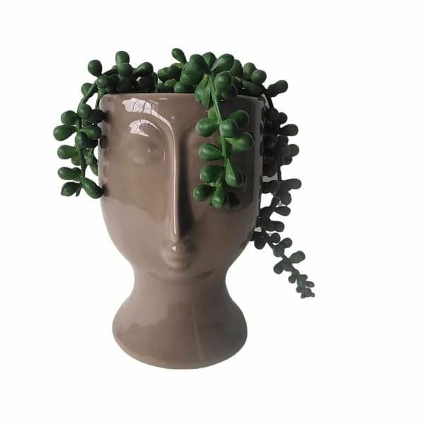 Dekorativ plante DKD Home Decor Keramik PE (11 x 10 x 16 cm)