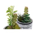 Miniatyrbild 3 av 3: Dekorativ växt DKD Home Decor Keramik Svart Polyetylen Vit Grön (7 x 7 x 19 cm) (2 antal)