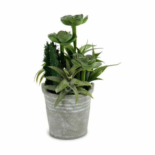 Dekorativ växt Ibergarden XD18-1182A-B Plast Cement 15 x 24 x 15 cm (12 antal)