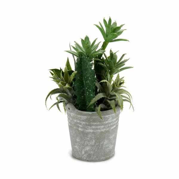 Dekorativ växt Ibergarden XD18-1182A-B Plast Cement 15 x 24 x 15 cm (12 antal)
