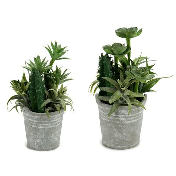 Dekorativ växt Ibergarden XD18-1182A-B Plast Cement 15 x 24 x 15 cm (12 antal)