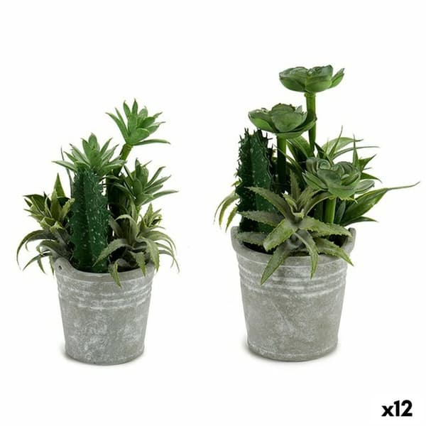 Dekorativ växt Ibergarden XD18-1182A-B Plast Cement 15 x 24 x 15 cm (12 antal)