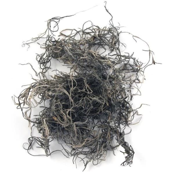 Djungelmossa, naturlig, 20 g {färg}