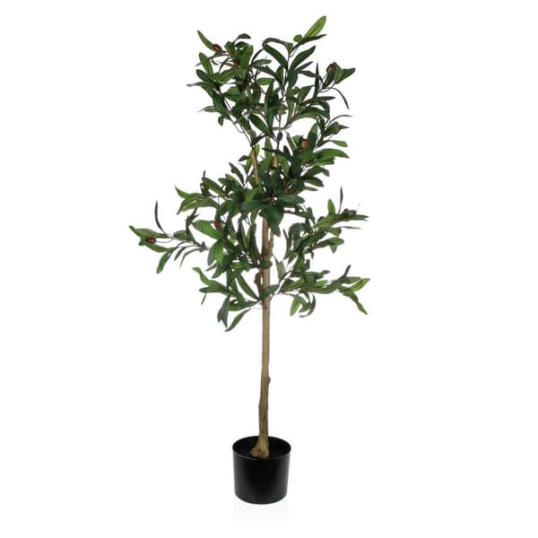 Dekorativ Plante Versa Plast