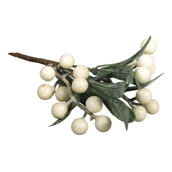 Dekorativa tillbehör - RAHYER - Mistelkvist - Grön - Växt - 16 cm