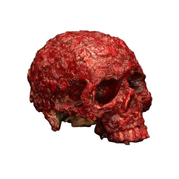 Halloweendekoration av resin med blodig kranium mot svamp.