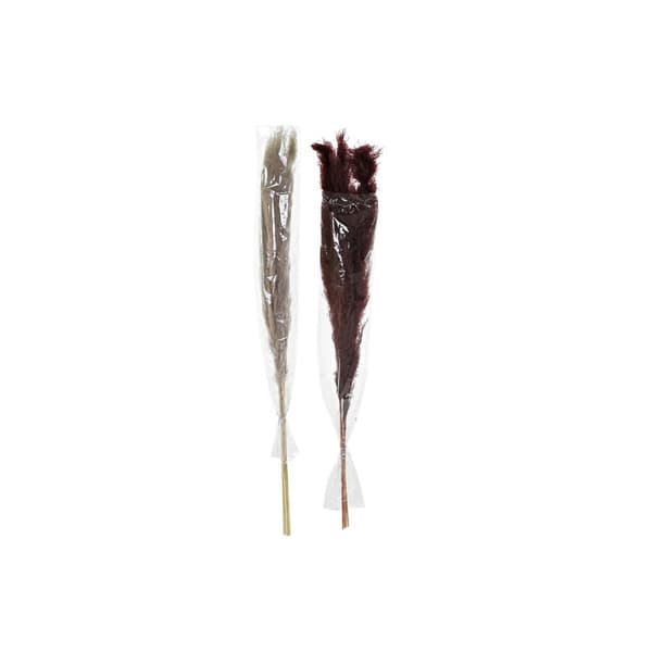 Dekorativ växt DKD Home Decor Beige Bordeaux (7 x 7 x 120 cm) (2 antal)