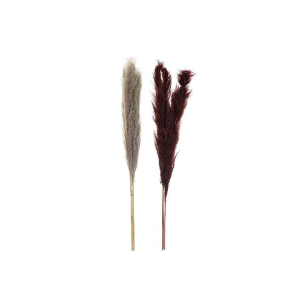 Dekorativ växt DKD Home Decor Beige Bordeaux (7 x 7 x 120 cm) (2 antal)