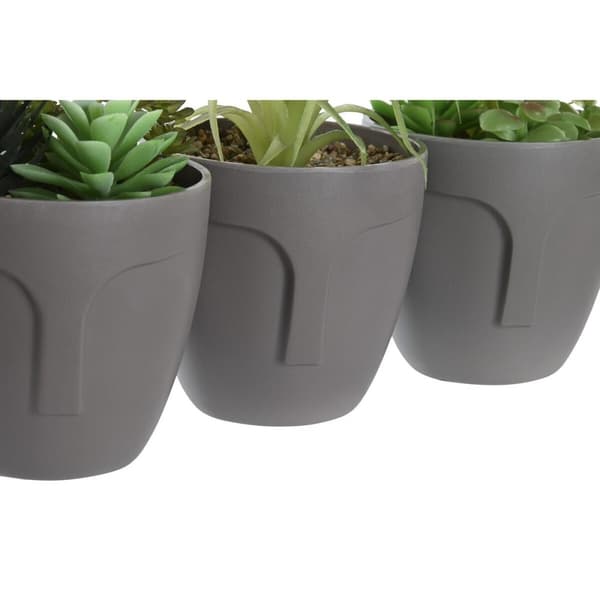 Dekorativ växt DKD Home Decor Grå Beige Polyetylen Grön polypropen (11 x 11 x 15 cm) (3 antal)