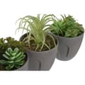 Miniatyrbillede 2 af 3: Dekorativ plante DKD Home Decor Grå Beige Polyetylen Grøn polypropylen (11 x 11 x 15 cm) (3 enheder)