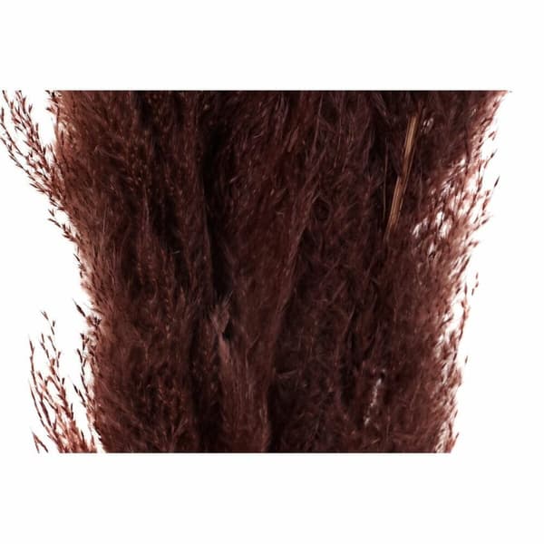 Dekorativ Plante DKD Home Decor Beige Burgunder (7 x 7 x 120 cm) (2 enheter)