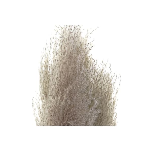 Dekorativ Plante DKD Home Decor Beige Burgunder (7 x 7 x 120 cm) (2 enheter)