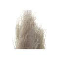 Miniatyrbilde 2 av 4: Dekorativ Plante DKD Home Decor Beige Burgunder (7 x 7 x 120 cm) (2 enheter)