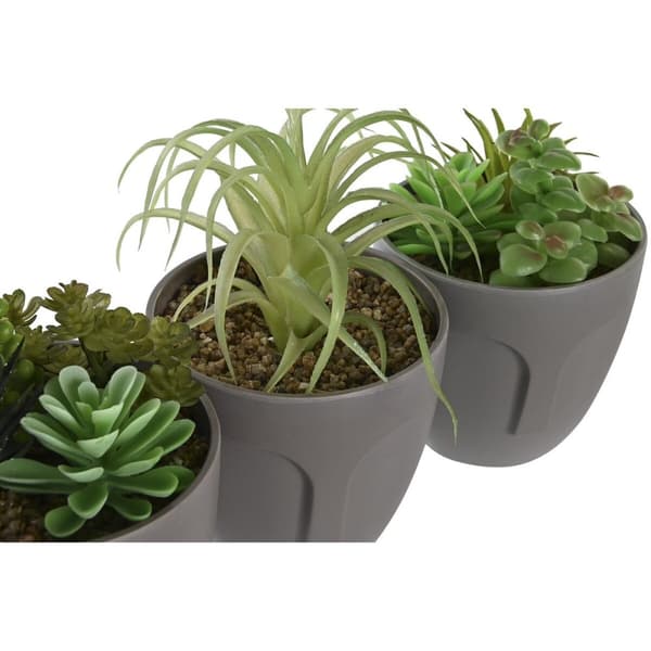 Dekorativ Plante DKD Home Decor Grå Beige Polyetylen Grønn polypropylen (11 x 11 x 15 cm) (3 enheter)