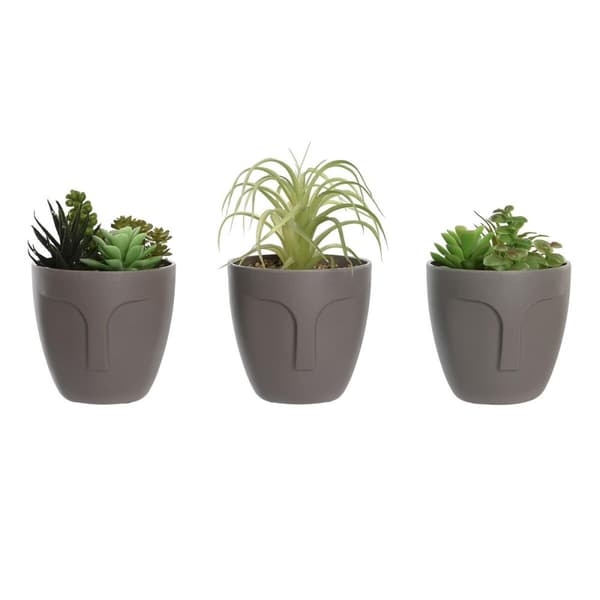 Dekorativ plante DKD Home Decor Grå Beige Polyetylen Grøn polypropylen (11 x 11 x 15 cm) (3 enheder)