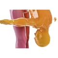 Miniatyrbillede 2 af 4: Dekorativ figur Home ESPRIT Multifarvet 55 x 17 x 45 cm