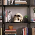 Miniatyrbild 4 av 4: Dekorativt föremål Readaeer - 1 - Människoskallemodell i riktig storlek - Klassisk