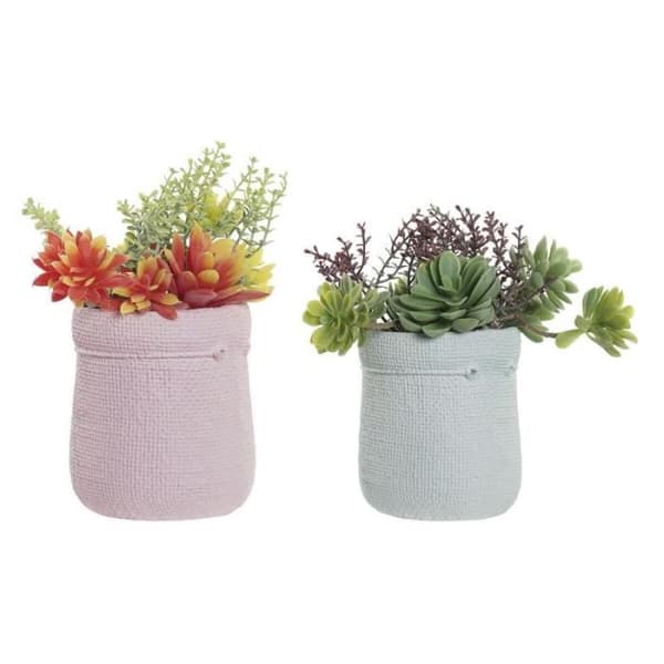 DKD Heminredning Ornamental Växt, Standard - S3030532