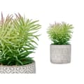 Miniatyrbild 3 av 3: Dekorativ växt Ibergarden QY-H011 Trä Plast Cement Suckulent 12 x 22 x 12 cm (8 antal)