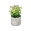 Miniatyrbild 2 av 3: Dekorativ växt Ibergarden QY-H011 Trä Plast Cement Suckulent 12 x 22 x 12 cm (8 antal)