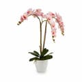 Miniatyrbild 2 av 2: Dekorativ växt Ibergarden A18124-71-3WH Plast Orkidé 40 x 77 x 35 cm (2 antal)