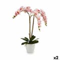 Miniatyrbild 1 av 2: Dekorativ växt Ibergarden A18124-71-3WH Plast Orkidé 40 x 77 x 35 cm (2 antal)