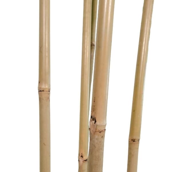 Träd Home ESPRIT Polyester Bambu 80 x 80 x 180 cm
