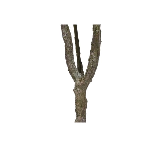 Puut Home ESPRIT Polyetyleeni 80 x 80 x 150 cm