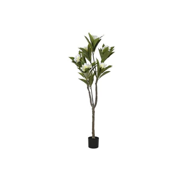 Puut Home ESPRIT Polyetyleeni 80 x 80 x 150 cm