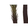 Miniatyrbilde 3 av 4: Dekorativ Plante Home ESPRIT Polyetylen Tropisk 80 x 80 x 170 cm