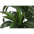 Pikkukuva 2 / 4: Koristekasvi Home ESPRIT Hartsi Polyetyleeni 50 x 50 x 102 cm