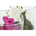 Miniatyrbillede 2 af 3: Dekorativ plante Home ESPRIT PVC Krystal 15 x 15 x 20 cm (2 enheder)