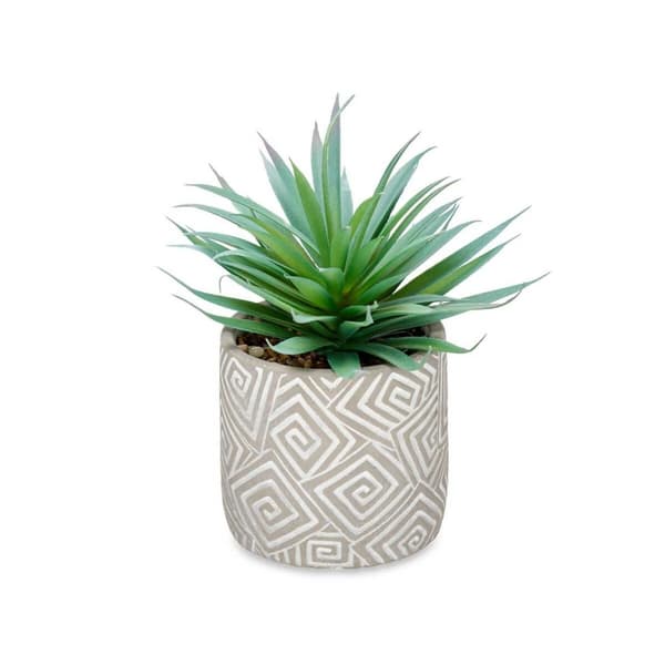 Dekorativ växt Ibergarden QY-H012 Trä Plast Cement Suckulent 17 x 21 x 17 cm (8 antal)