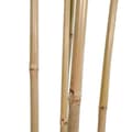 Miniatyrbild 2 av 4: Träd Home ESPRIT Polyester Bambu 80 x 80 x 180 cm