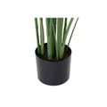 Miniatyrbillede 3 af 4: Dekorativ plante DKD Home Decor 75 x 75 x 180 cm Orange Grøn Gul polypropylen Paradisets fugl