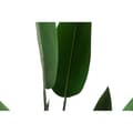 Miniatyrbillede 4 af 4: Dekorativ plante DKD Home Decor 75 x 75 x 180 cm Orange Grøn Gul polypropylen Paradisets fugl