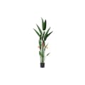 Miniatyrbillede 1 af 4: Dekorativ plante DKD Home Decor 75 x 75 x 180 cm Orange Grøn Gul polypropylen Paradisets fugl