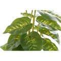 Miniatyrbillede 2 af 4: Dekorativ plante DKD Home Decor PVC polypropylen 20 x 20 x 30 cm