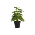 Miniatyrbillede 1 af 4: Dekorativ plante DKD Home Decor PVC polypropylen 20 x 20 x 30 cm