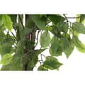 Miniatyrbillede 2 af 3: Dekorativ plante DKD Home Decor 50 x 50 x 90 cm Metal Polyetylen Grøn 30 x 40 cm Figen Urban