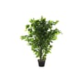 Miniatyrbillede 1 af 3: Dekorativ plante DKD Home Decor 50 x 50 x 90 cm Metal Polyetylen Grøn 30 x 40 cm Figen Urban