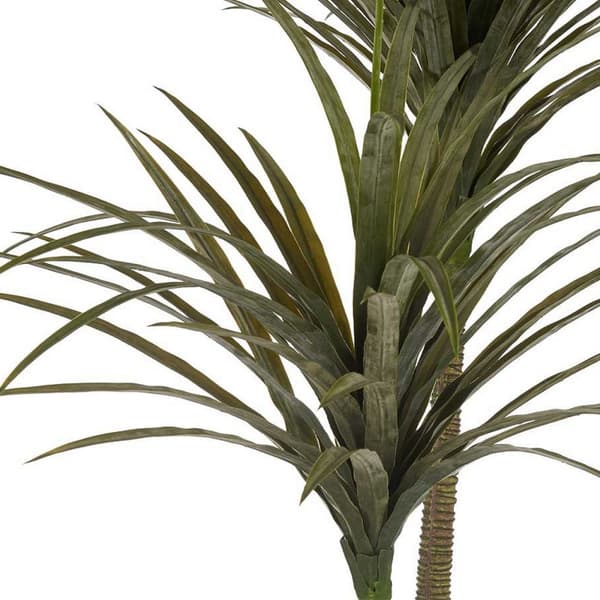 Dekorativ plante Ibergarden BRS-ADE179 Plastik Jernkabel Smalt blad 80 x 150 x 105 cm
