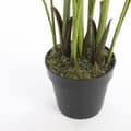 Miniatyrbillede 3 af 3: Dekorativ plante Mica Decorations Palmera 80 x 160 cm