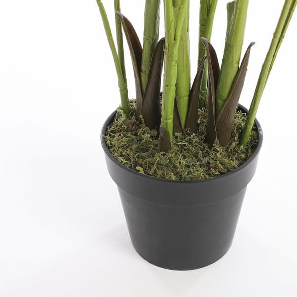 Dekorativ plante Mica Decorations Palmera 80 x 160 cm