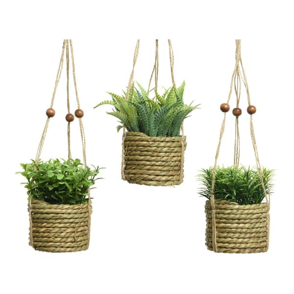 Dekorativ plante Everlands 8 x 12 cm Halskæde Tov Grøn PVC