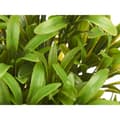 Miniatyrbillede 3 af 3: Dekorativ plante Ibergarden 547 Plastik 18 x 35 x 16 cm (6 enheder)